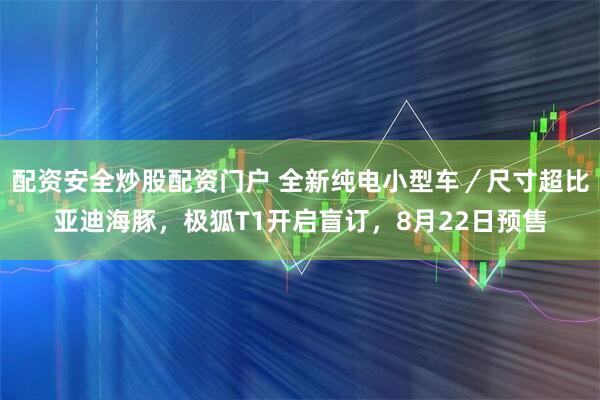配资安全炒股配资门户 全新纯电小型车／尺寸超比亚迪海豚，极狐T1开启盲订，8月22日预售